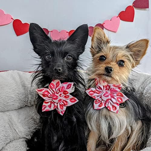Huxley & Kent Pet Pinwheel | נשיקות | יום האהבה של Velcro Association לכלבים/חתולים | קובץ מצורף צווארון